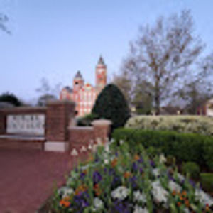 Meet your Posher, Mandy